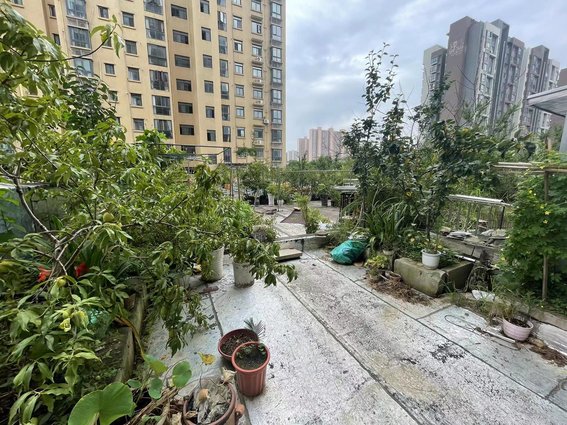三丰鼎城两房边户带大露台种菜养花送阳光房20平