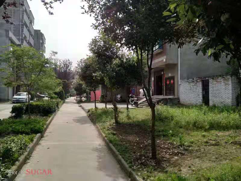 春江花園附近私房地皮便宜賣(mài)該地緊鄰江邊帶狀公園和幼兒園，距離市武商仙桃購(gòu)物中不遠(yuǎn)。后面可停兩部小車(chē)