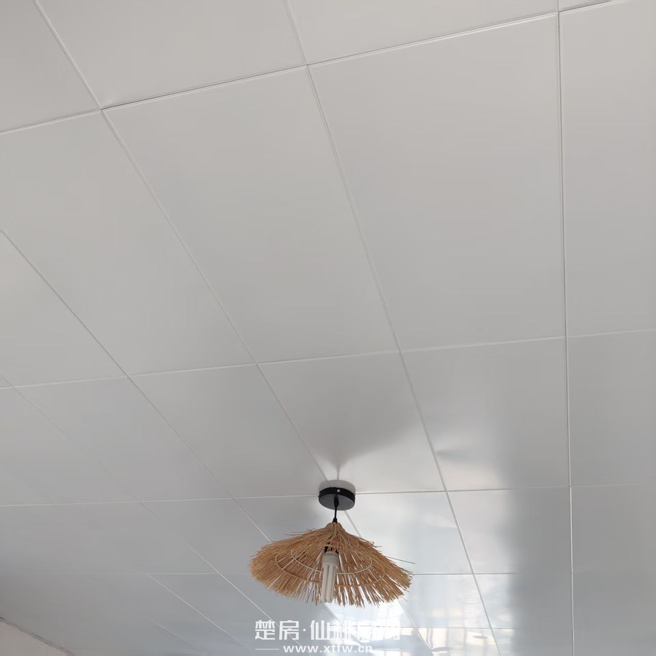 房屋出租（实验二小大洪校区附近）