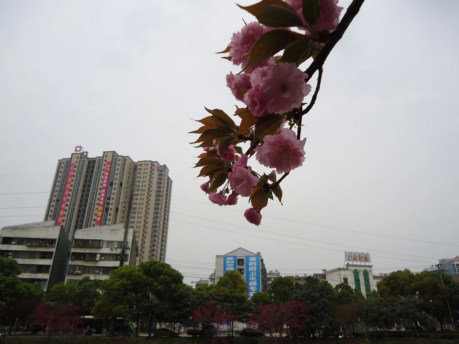 仙桃城市广场小户型