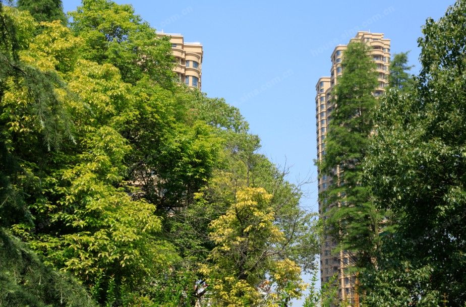 公園世家一期三室兩廳134平出售