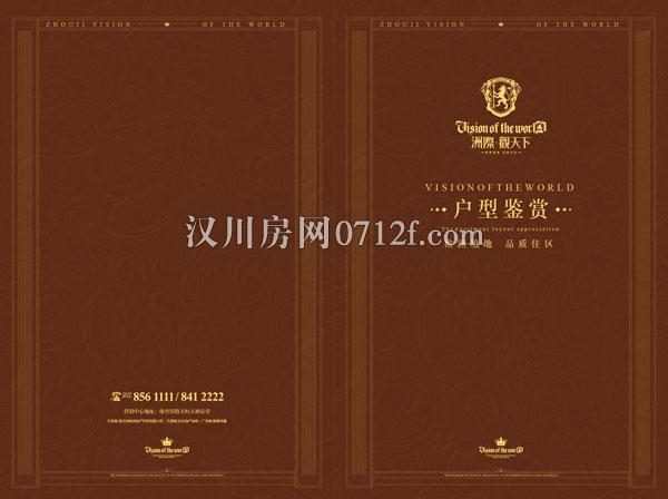 洲际·观天下户型单页封面