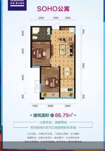 南方国际公寓46.39平，首付8万拥有一套电梯房月租1500