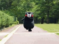 微信图片_20190322163706.gif