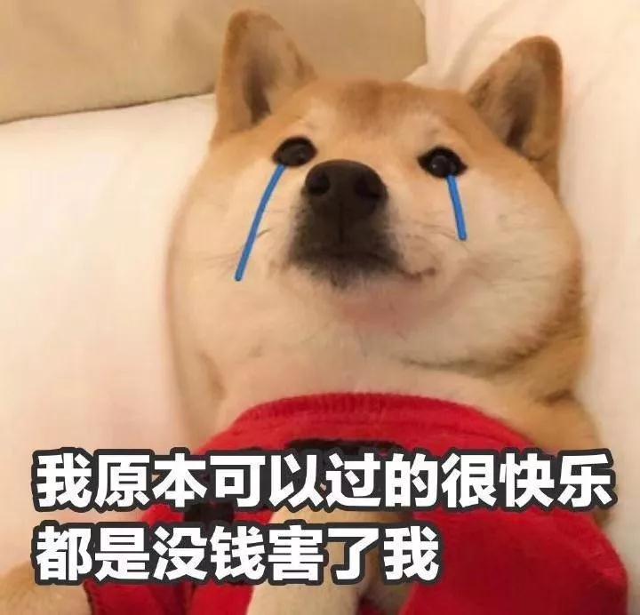 2019041109282276137b5s9fl.jpg 2019041109282276137b5s9fl.jpg