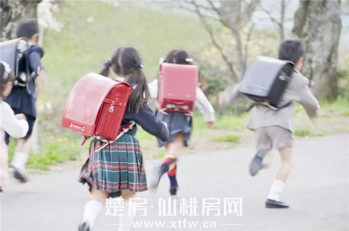2019041109295589234ss6ds5.jpg 微信图片_20190411092142.jpg