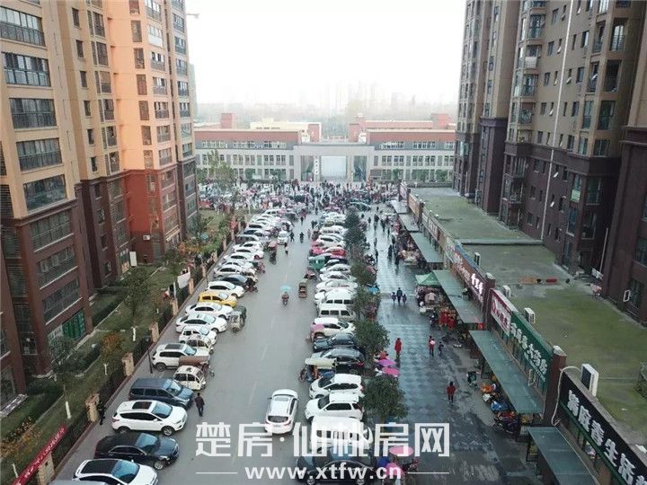 2019041210260743379cjgpnk.jpg 微信图片_20190412102039.jpg