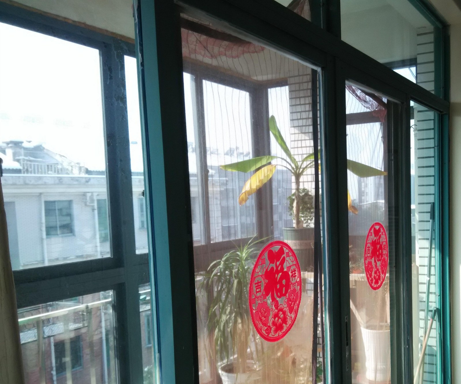 青青家園復(fù)式樓送15平陽(yáng)光房