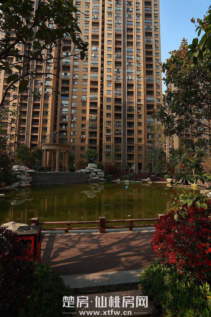 实景700 1.jpg