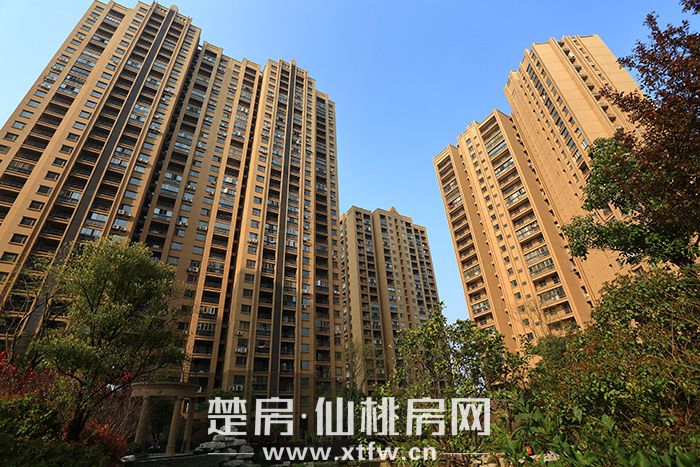 实景700 2.jpg