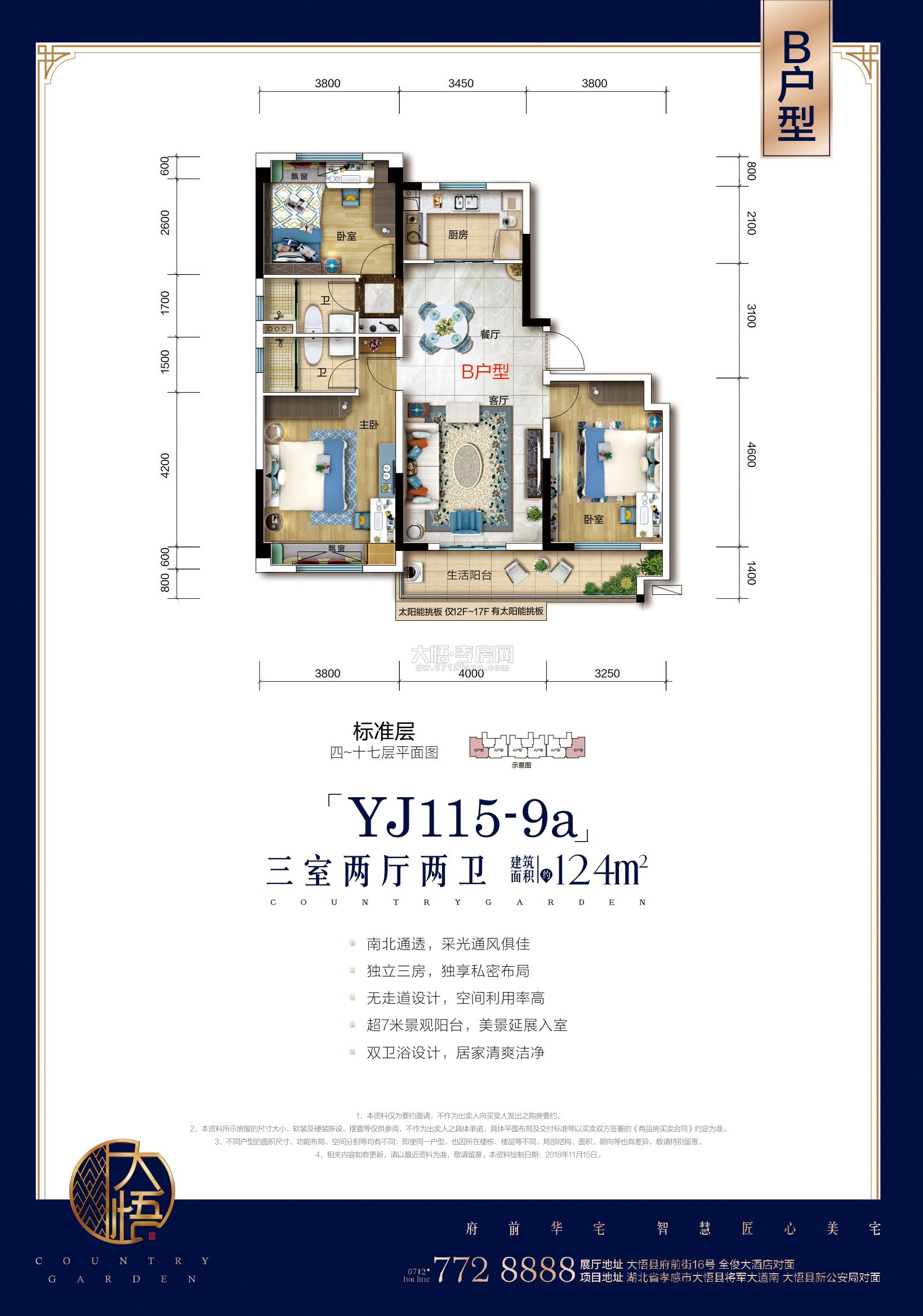 大悟碧桂园YJ115-9a-B户型
