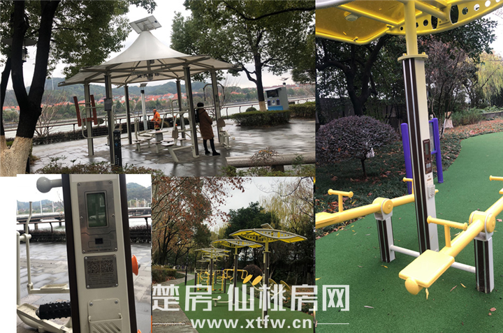 图片10.png