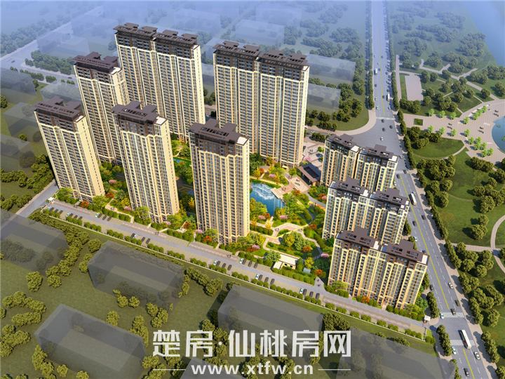 图片5.png