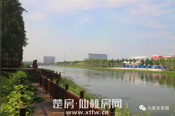 微信图片_20200218191325.jpg