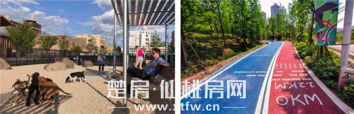 2020031612371815865c81emn.jpg 微信图片_20200316123605.jpg