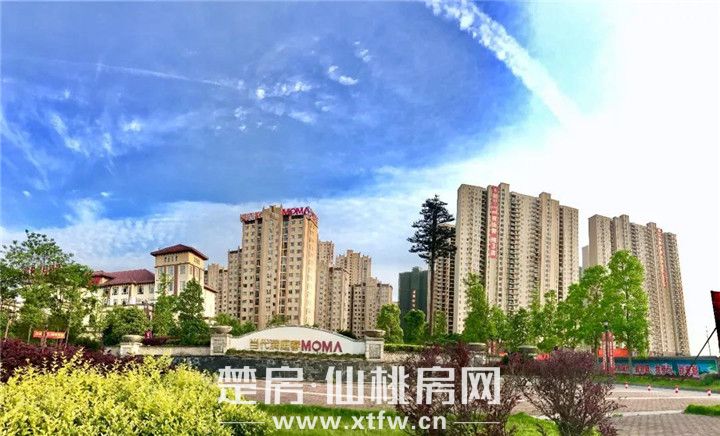 2020031711521266703pmoovw.jpg 微信图片_20200317114849.jpg