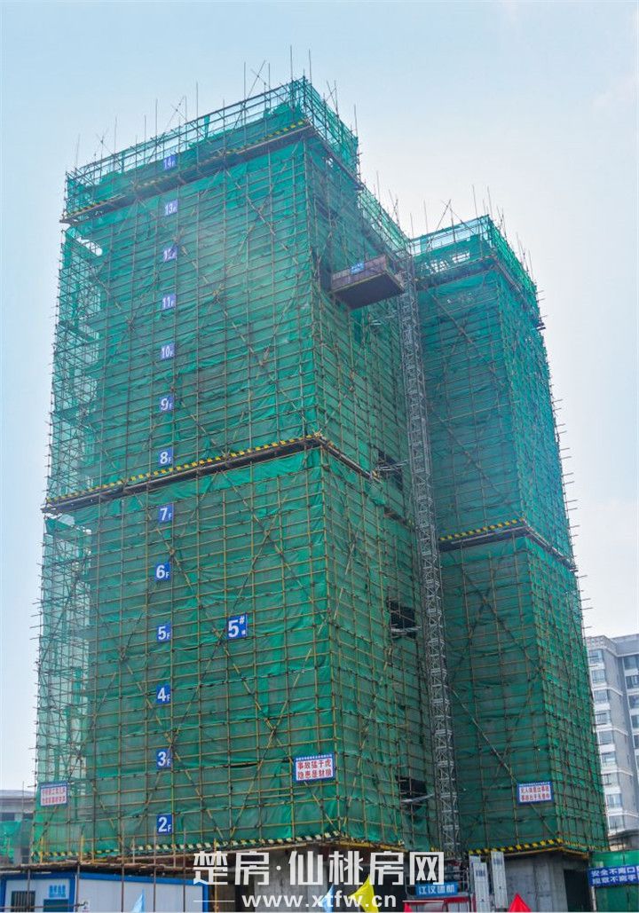 微信图片_20200324093918.jpg