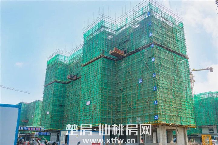 微信图片_20200324093928.jpg