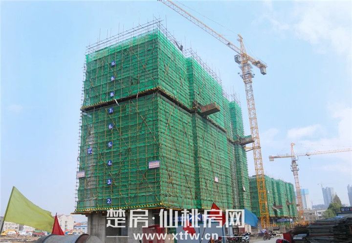 微信图片_20200324093930.jpg