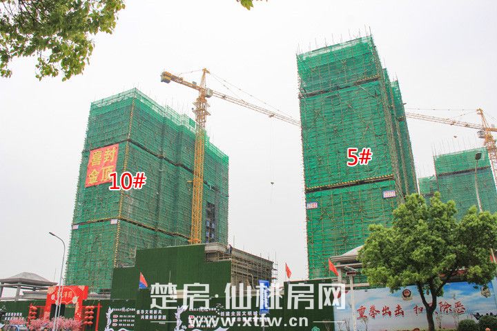 10#封顶.jpg