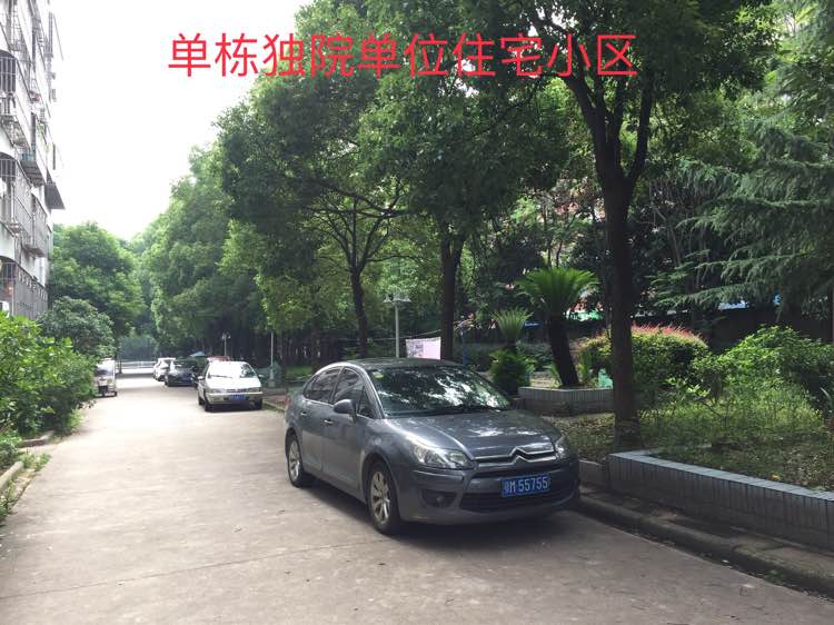 沔中对面单栋 院大户型南北通透单位住宅小区