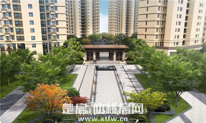 图片8.png