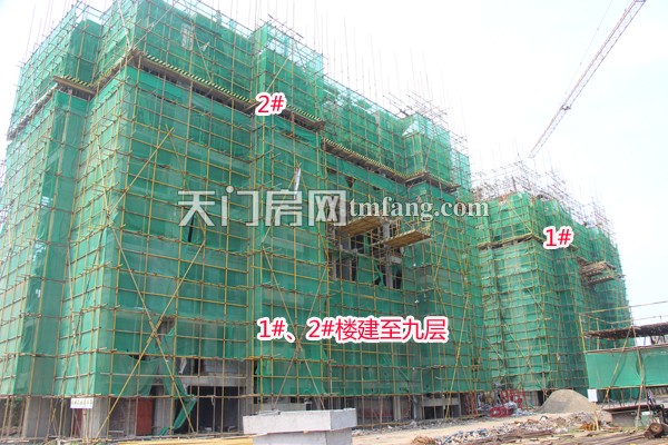 华茂阳光城8月工程进度：绿化建设初见成效