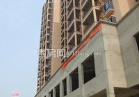 柳岸春城8月工程进度：20、21号楼已经封顶