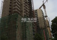 华耀·府东明珠 9月最新进度 楼栋均已封顶