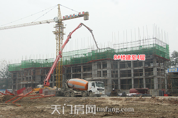 鑫龙中央公园11月工程进度 8#楼建至4层