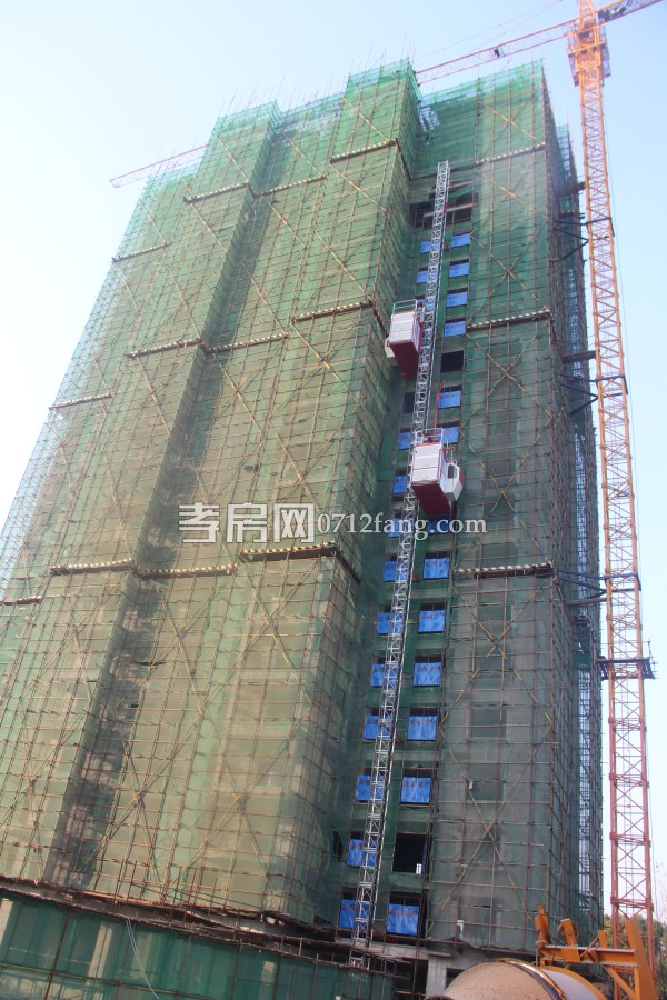 金都·九龙城12月工程进度 4、7#楼均建至23层