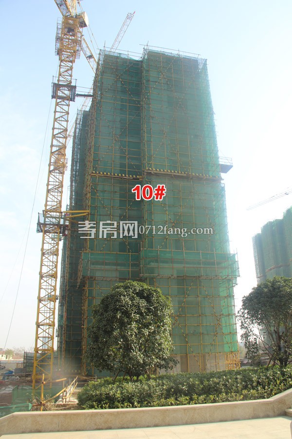 乾坤豪府12月最新工程进度:11#楼已建至13层