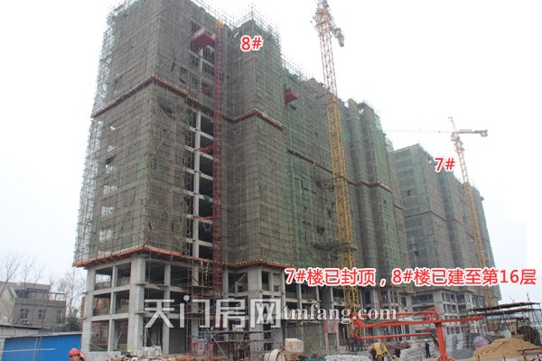 鑫龙中央公园7#和8#楼并排而建，其中7#楼共18层已封顶，8#楼共24层已建至16层