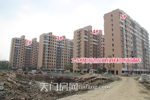 华茂阳光城3月工程进度 1-5#楼周边在做绿化和地面铺砖