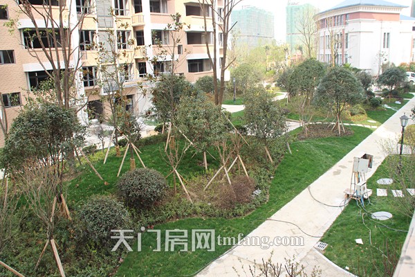 华茂阳光城3月工程进度 周边部分绿化一览