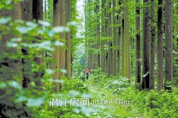 湖北农业现代化发展的潜江贡献