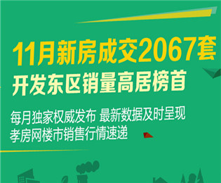 11月新房成交2067套 開發(fā)東區(qū)銷量高居榜首