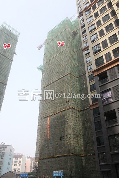 大禹传奇4月最新进度：9号楼已建到30层