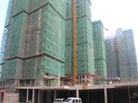 华厦龙成8月工程进度：在建楼栋已成型