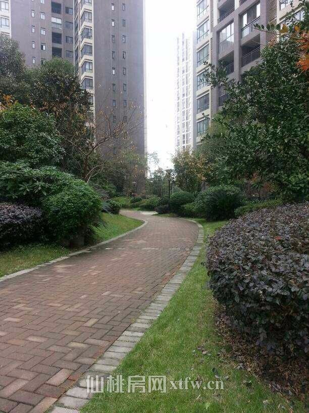 仙桃市和合國際城，優(yōu)質(zhì) 房，環(huán)境優(yōu)美