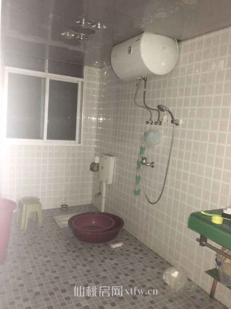 城西南北通透特大三居室