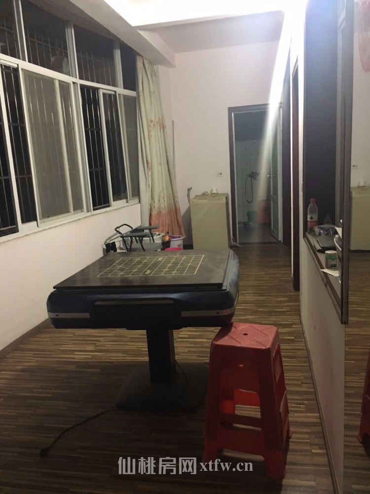 城西南北通透特大三居室