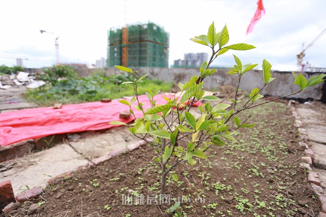 精装修，带空中花园，老人名医院宿舍