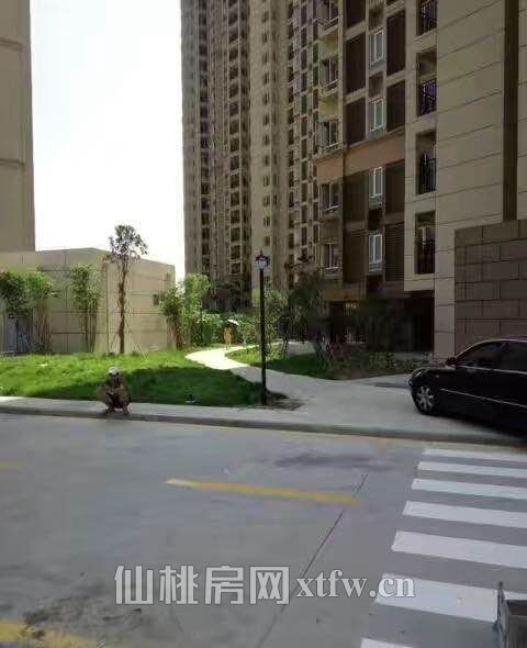 南国明珠杜柳还建房好地段