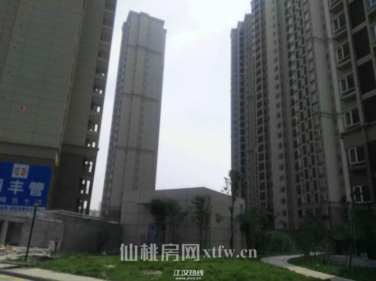 南国明珠杜柳还建房好地段