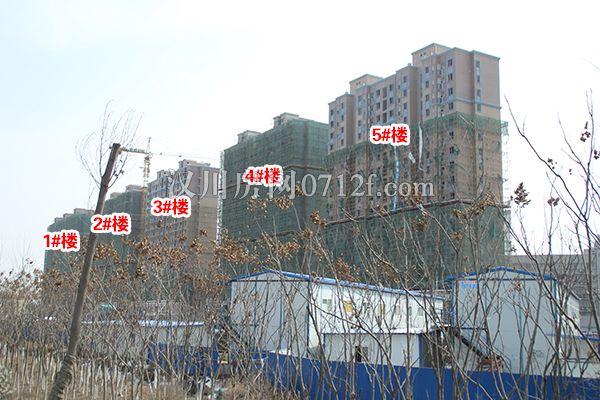 2018022620520128413yg9fnj.jpg 汉正壹号-(7).jpg
