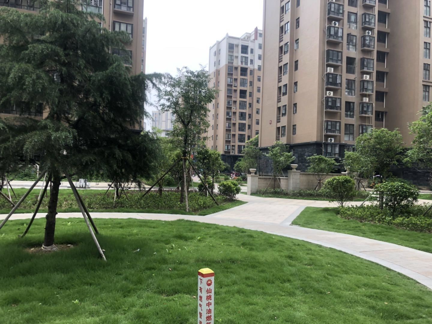 沔陽公館毛坯三房兩衛(wèi)采光好戶型方正 看房