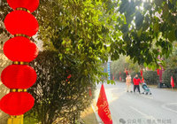楚天世紀城：大紅燈籠高高掛，滿苑點染中國紅