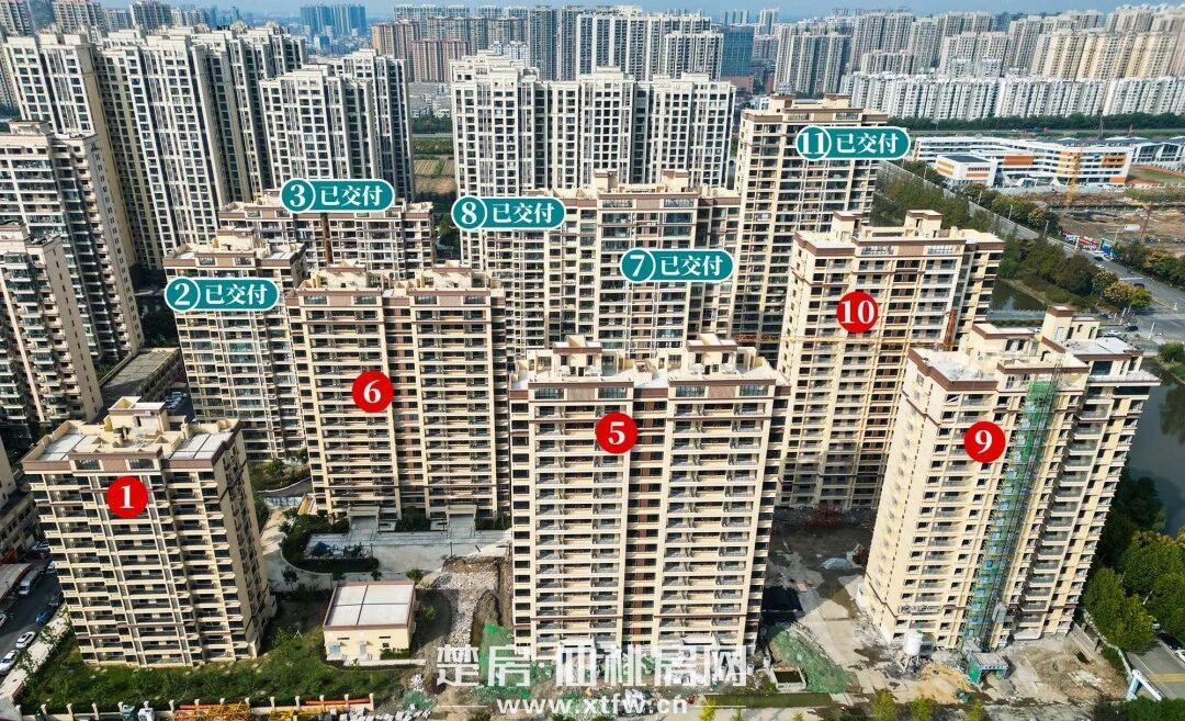 荣怀·及第世家|匠心精筑，步履不停，10月工程进度播报!