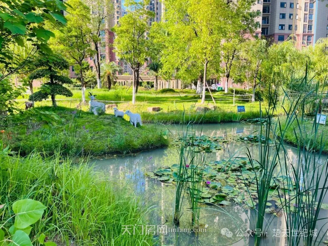 遇見歲月靜好：安家在宏大而典雅的宜居大城